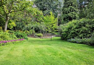 Optimiser l'expérience du jardin à Allondrelle-la-Malmaison